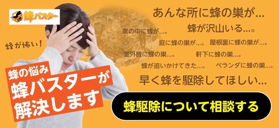蜂の悩み蜂バスターが解決します
