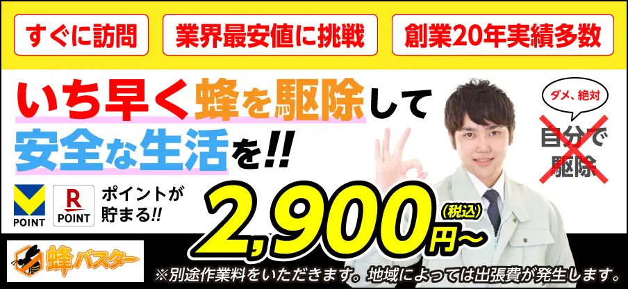 いち早く蜂を駆除して安全な生活を!!