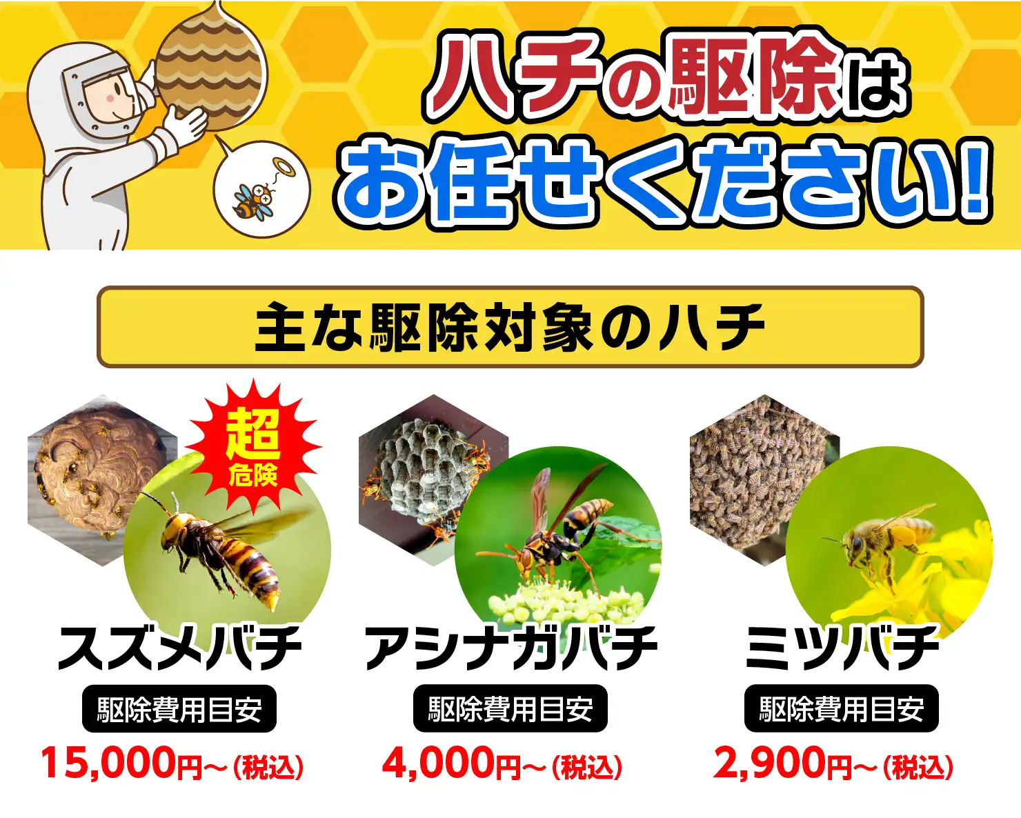蜂の巣駆除はお任せください!