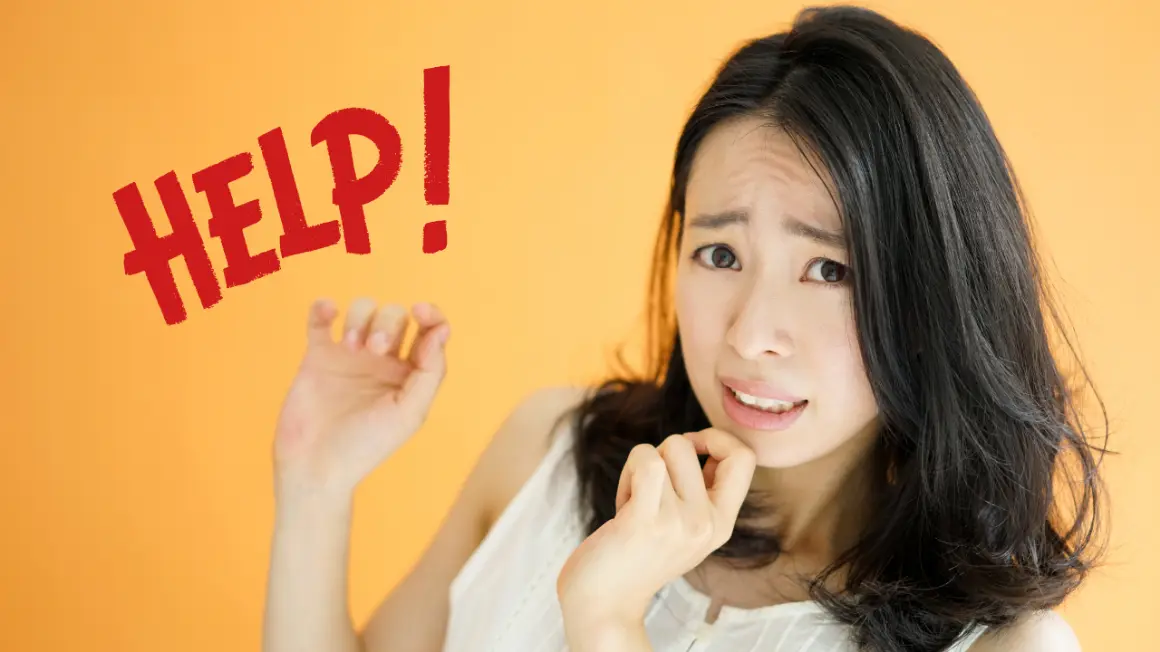 スズメバチが現れて困っている