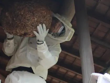 作業完了の確認・お支払い