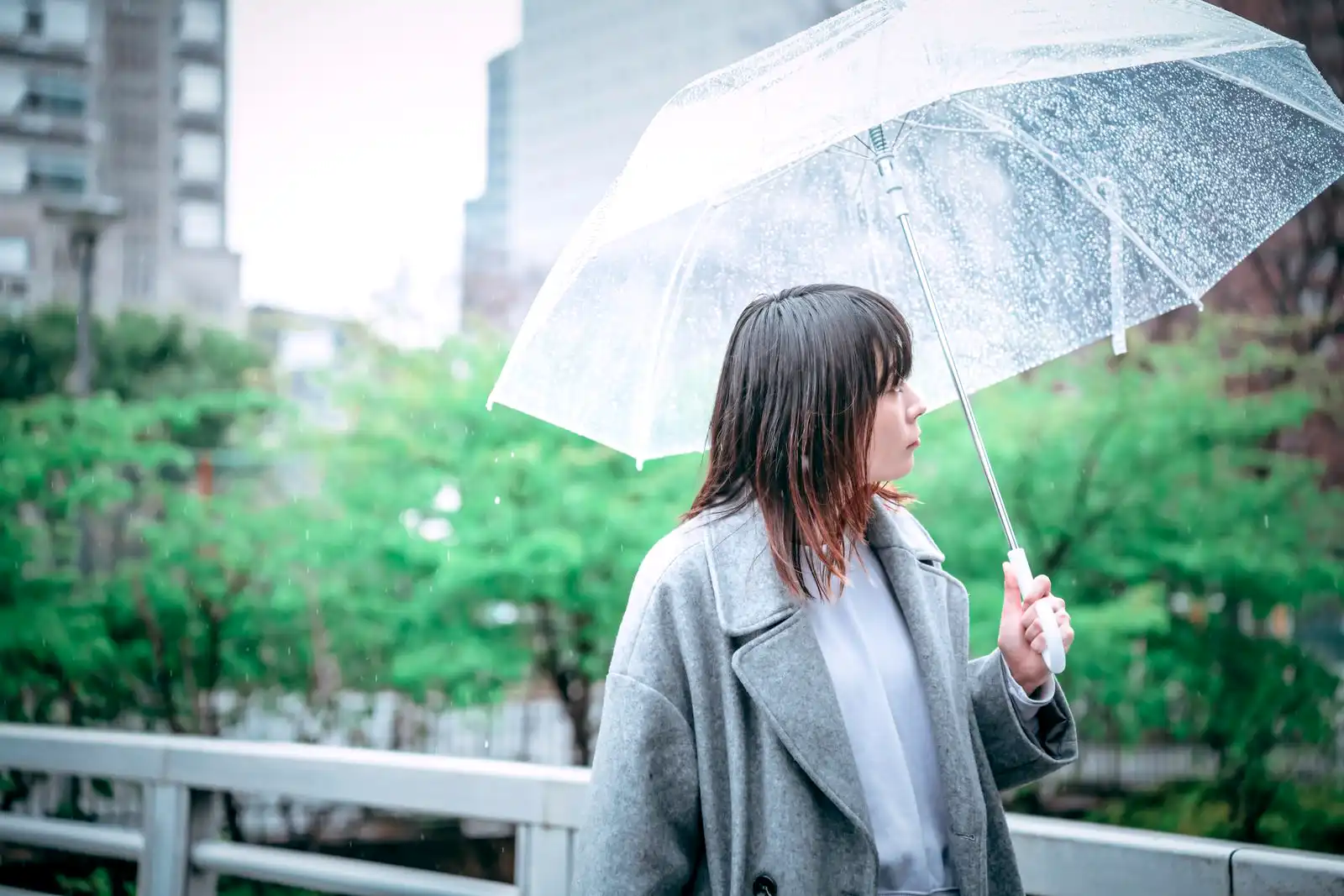 天候がハチ駆除に与える影響：雨の日と晴れの日の違い