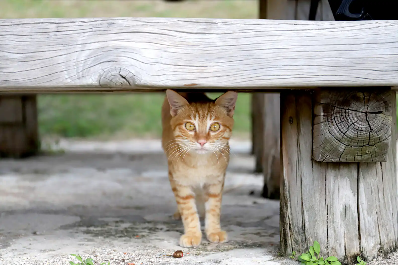 安全に近づくための基本知識