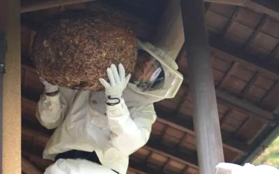 専門家への迅速な連絡がいかに大事か