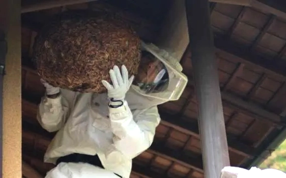 駆除後の保証とアフターサービス