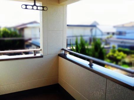 アシナガバチの特徴と生態