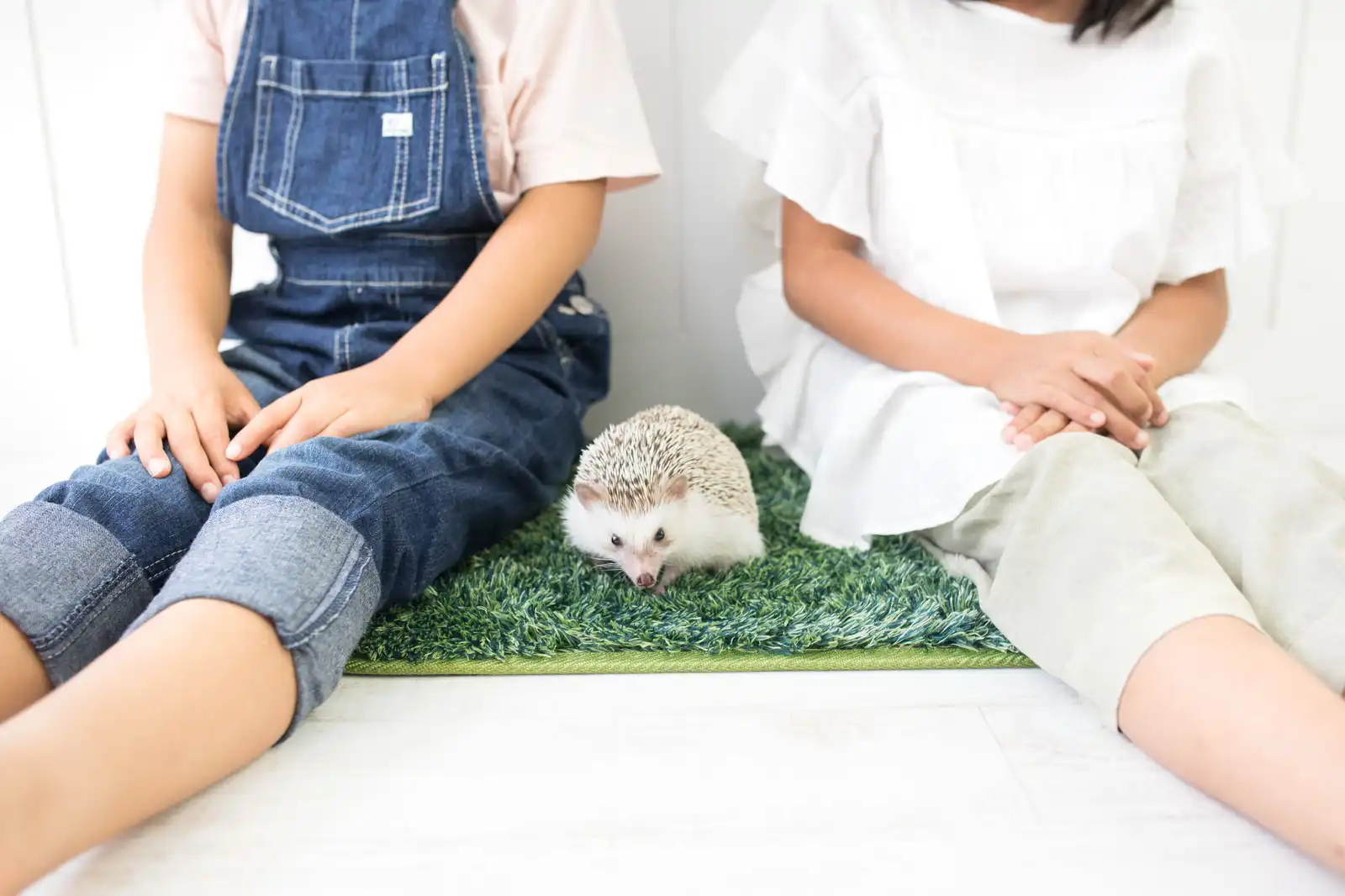 蜂を寄せ付けないための天然素材の使用