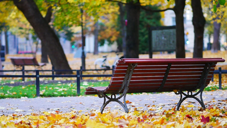 公園内の蜂の巣対策