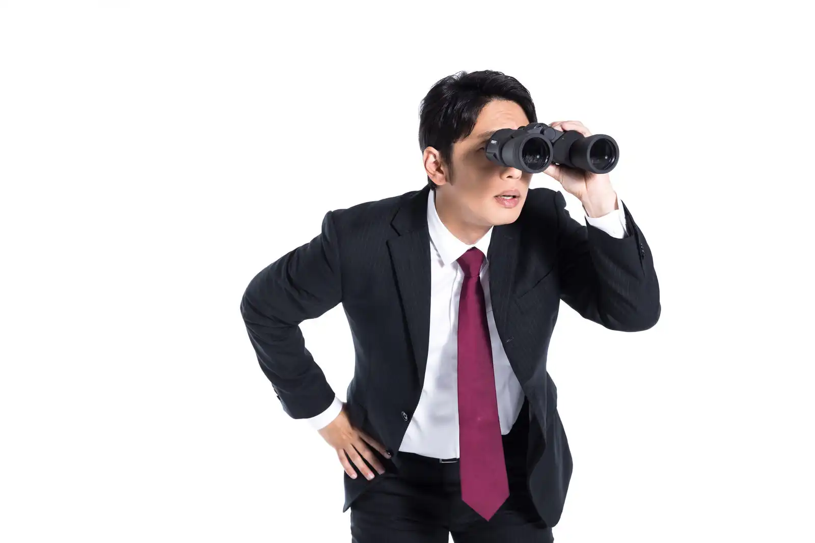 蜂の巣を見つけた場合の対処法