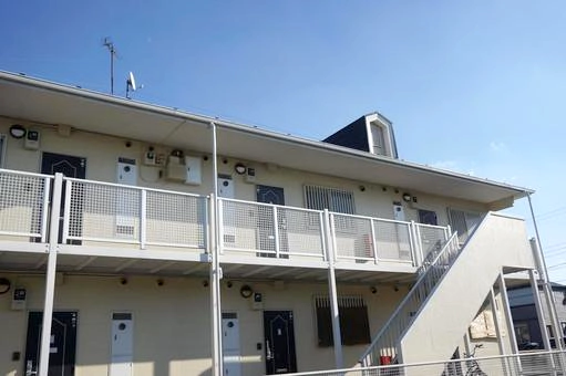 借家や賃貸アパートに蜂の巣ができた時