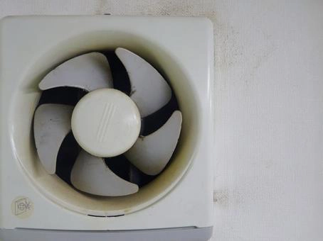 換気扇にアシナガバチ