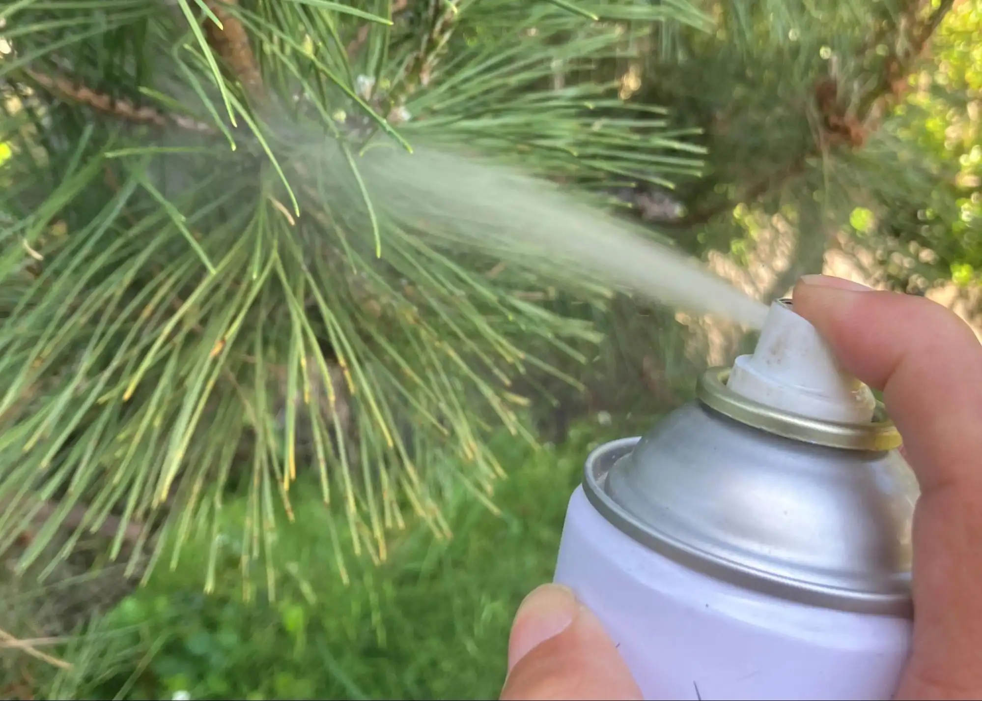 蜂駆除スプレー