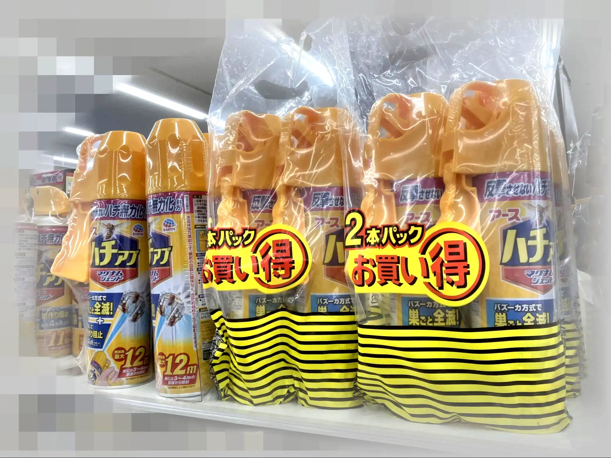 家庭でできる土の中に巣を作る蜂の巣駆除方法