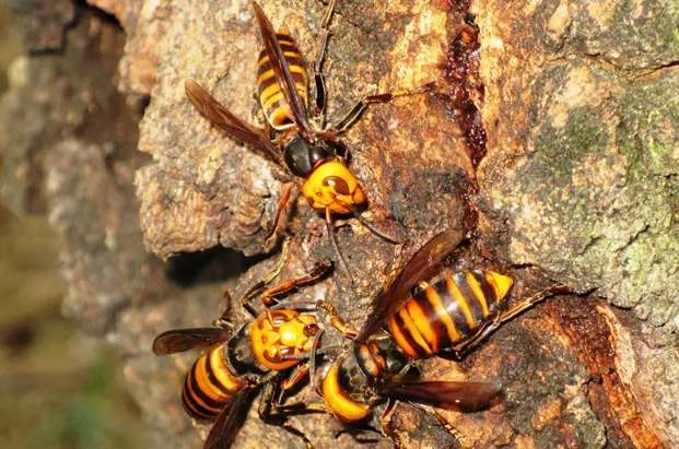 種類別の対応策と注意点
