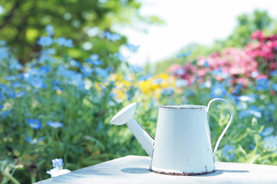 ハーブの効果的な使い方