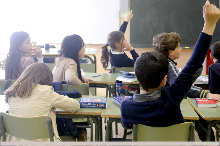 子供への教育：ハチの危険性をどう教えるか