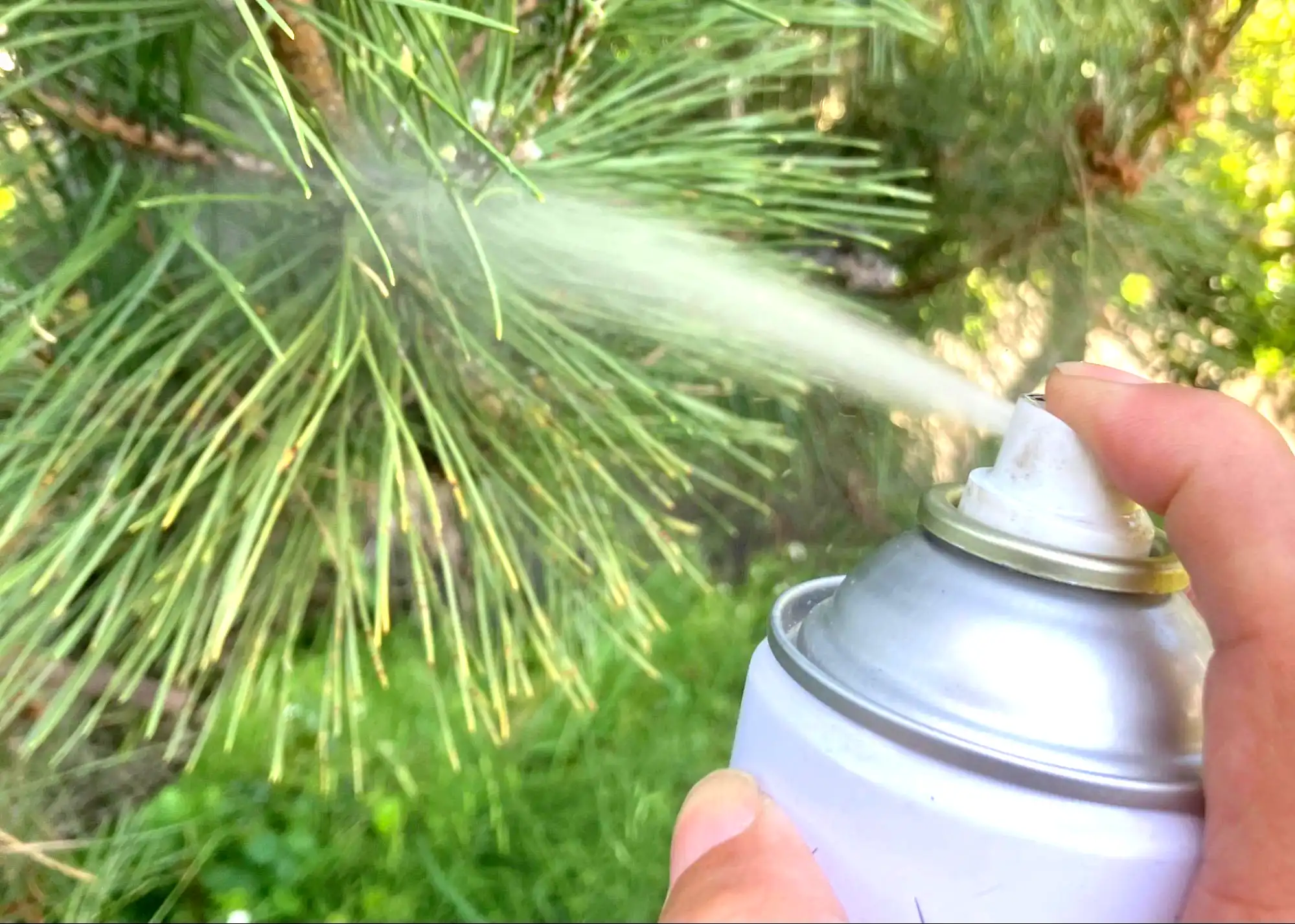 化学的防止策とその効果