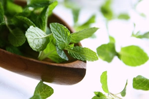 蜂を寄せ付けないハーブの秘密