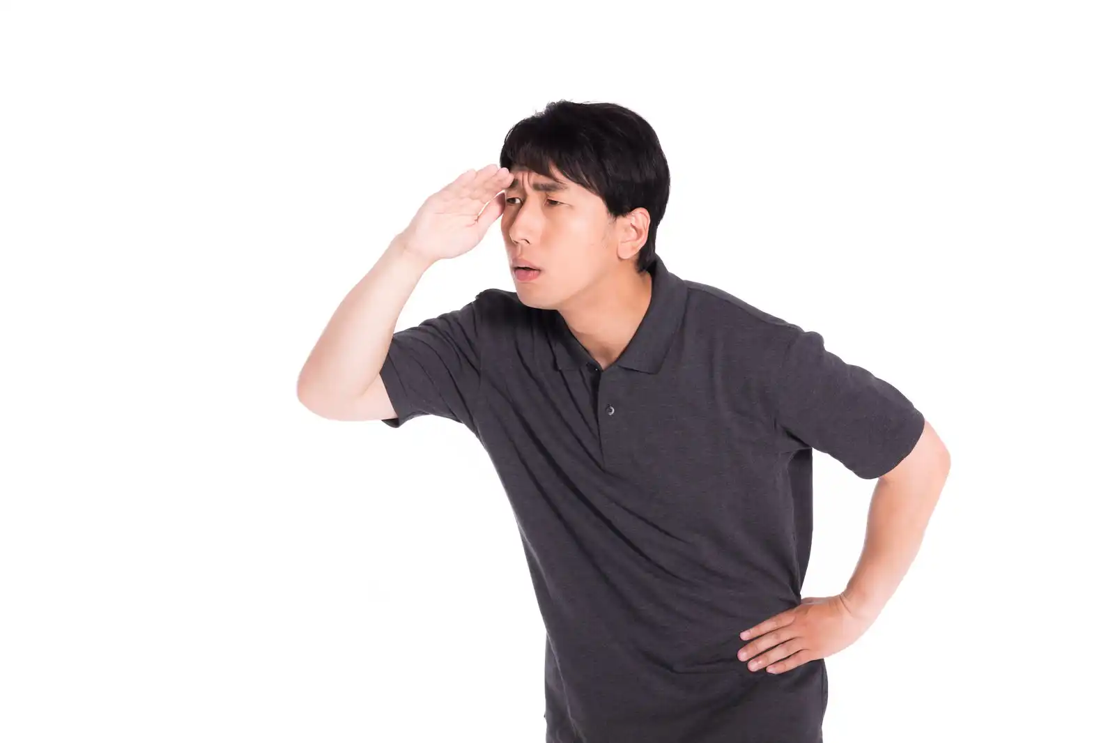 自宅屋根裏での蜂の巣駆除の危険性とリスクの評価