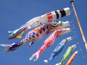 5月のハチの巣駆除