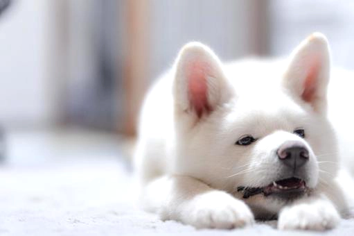 病院に行くべき症状