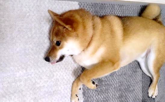 刺された後の経過観察