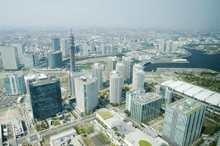 蜂の巣駆除補助金制度