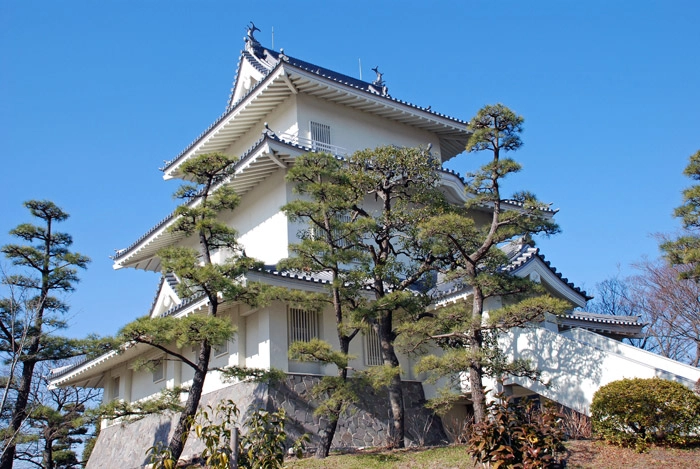蜂の巣駆除補助金制度