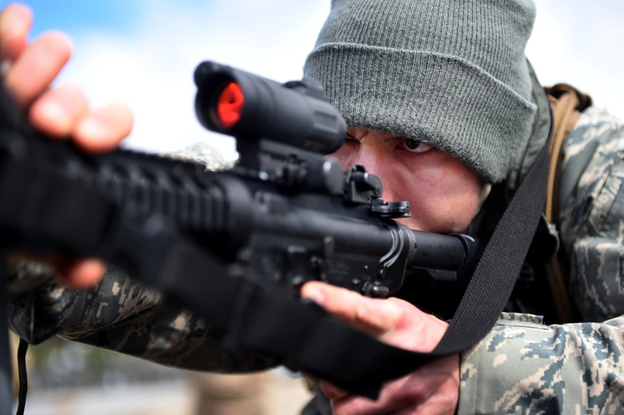 蜂が死ぬ時に放つ危険信号とは?