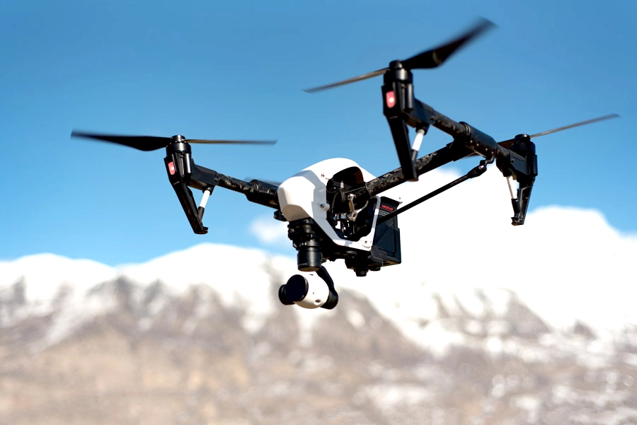 蜂の飛行メカニズム