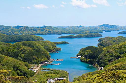 森の樹液を巡るスズメバチとカブトムシの共生のための条件